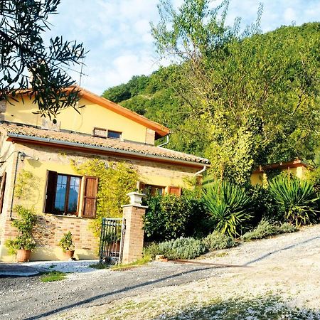 Villa Mischianti Gubbio Esterno foto