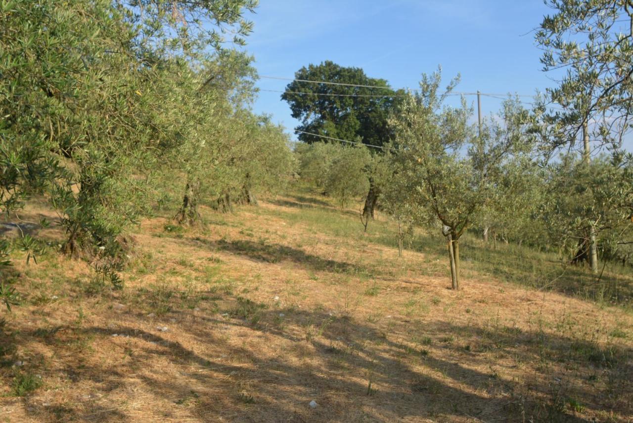 Villa Mischianti Gubbio Esterno foto