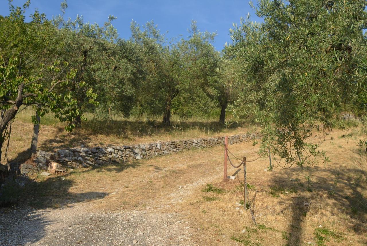 Villa Mischianti Gubbio Esterno foto